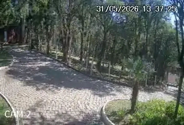 Casal caseiro (ler o anúncio)