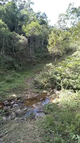 Vendo sitio na Armação do Pântano