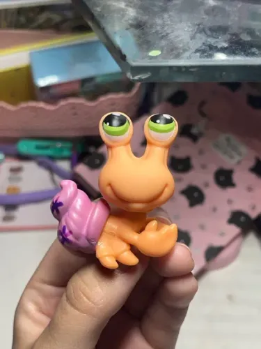 LPS #352 caranguejo eremita laranja
