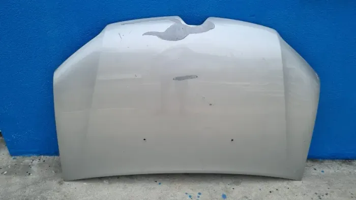 Capô Renault Sandero 2016/2020 Original 