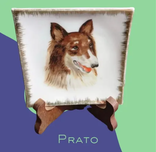 Prato porcelana cachorro