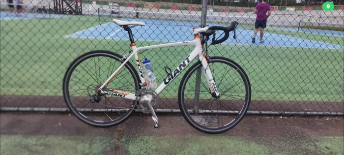 Speed Giant TCR 