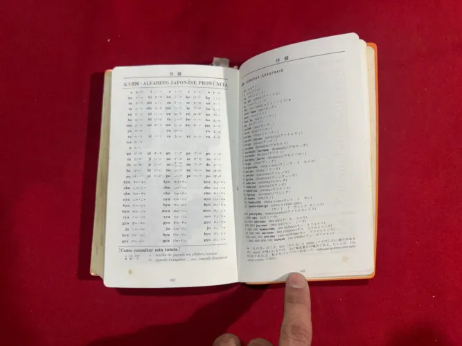 Dicionário japonês português 