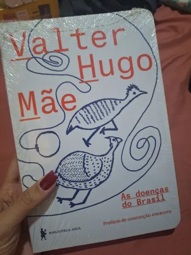Livro As doenças do Brasil + Não podes caber em palavra alguma - Valter Hugo Mãe