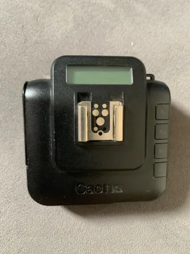 Radioflash Cactus V6