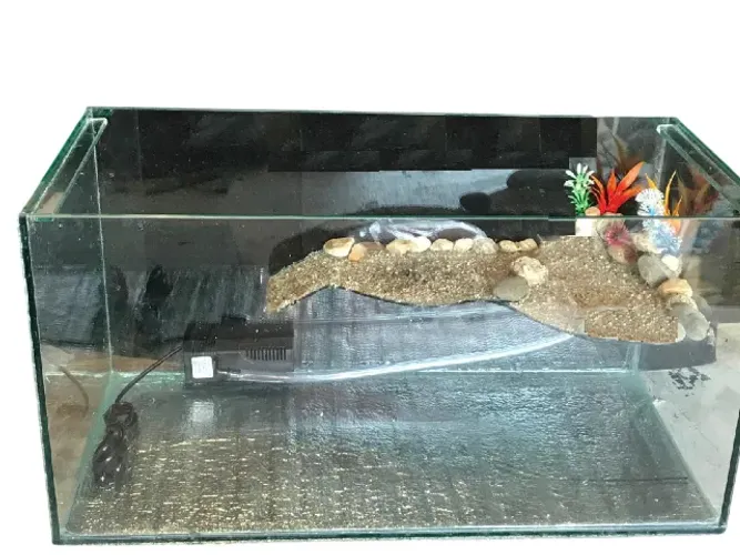 Aquaterrario com Cascata e rampa para tartaruguinha 45x30x30cm vidro 6mm