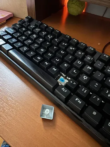 Teclado Mecânico HP GK320