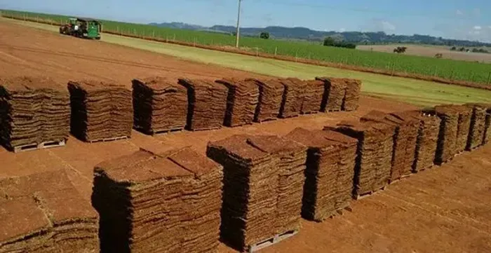 Minimo 100 mts tirada paga na entrega