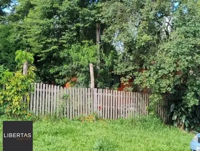 Terreno em Olaria
