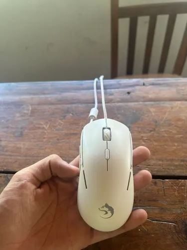 Mouse gamer