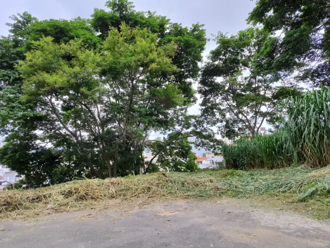 Terreno com bom potencial de construção no Cascatinha para venda