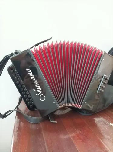 Gaita Ponto/Acordeon 