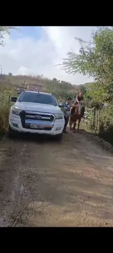Cavalo mangalarga
