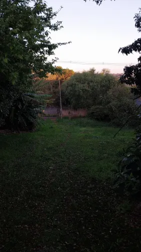 Procuro chácara para morar e tomar conta