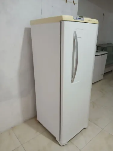 Vendo geladeira 