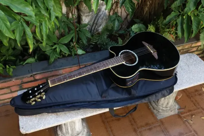 Violão Tagima Vegas