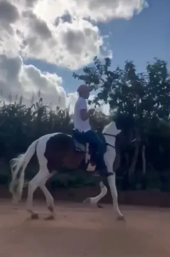 PamPa de Castanho Potro lindo .