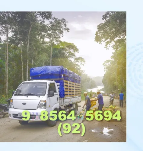 TRANSPORTE DE CARGAS FENIX * 92\9+8564.5694