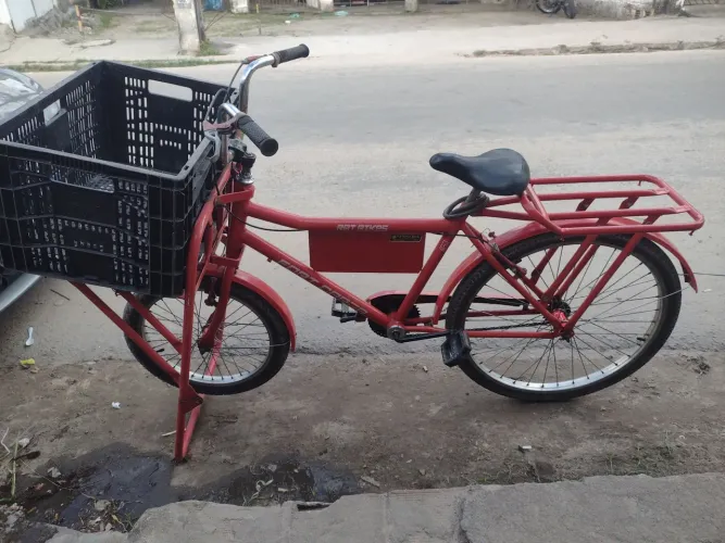 Bicicleta de Carga