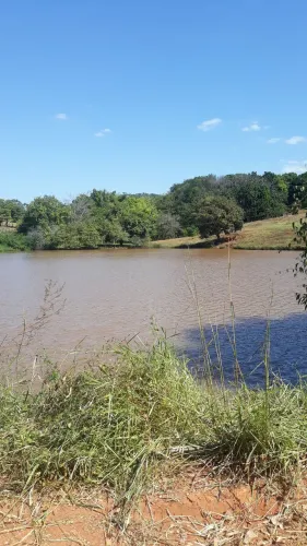 Vendo sítio em Petrolina de Goiás às margens da GO 080 a 60kms. De Goiânia.