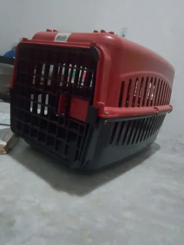Caixa transportadora