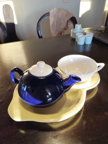 conjunto vintage bandeja bule e xicara