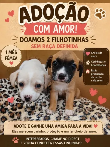 Lindos filhotes de cachorro para doação!