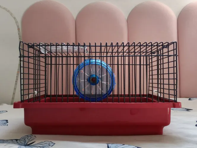 Gaiola de transporte para hamster (leia a descrição)