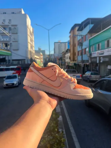 nike dunk low trocadero gardens