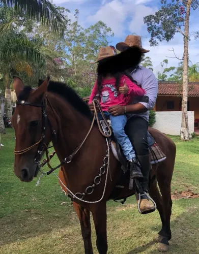 Cavalo