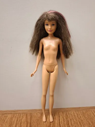 Boneca Skipper, irmã da Barbie - Mattel 2010 - articulada