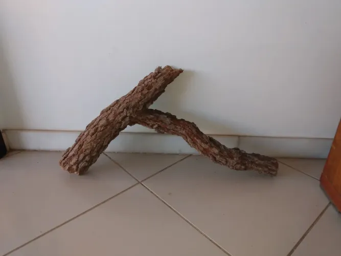 Galhos variados para terrários 