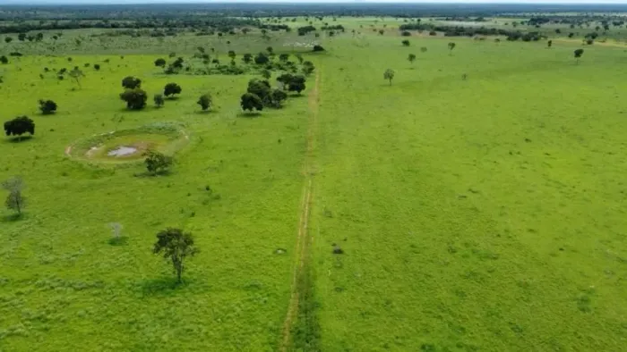 FAZENDA GOIAS