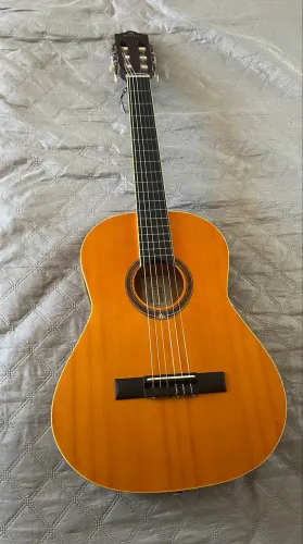 Violão Michael vm16e NS 