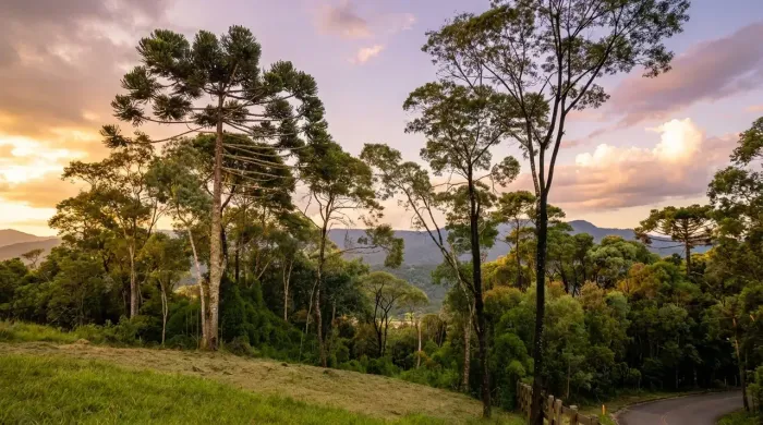 Sítio à venda em Urubici | Santa Catarina | Serra Catarinense