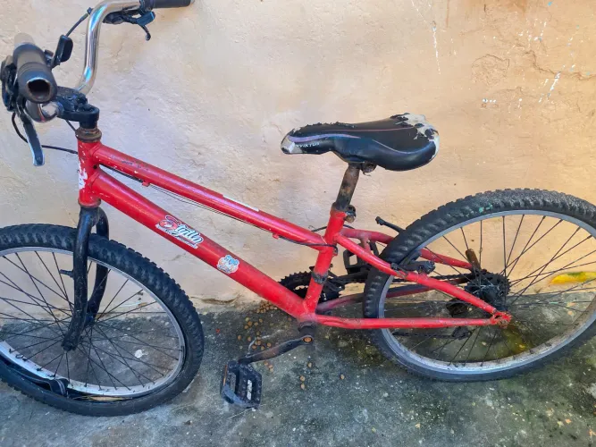 Bicicleta