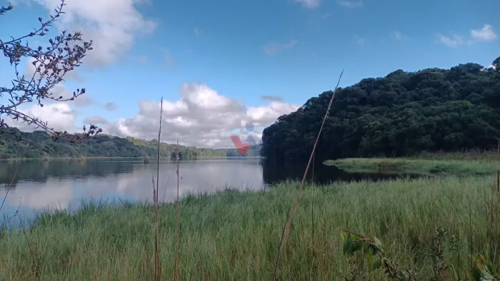 Chácara em Araucária com nascente, represa e natureza exuberante Aceita imóvel
