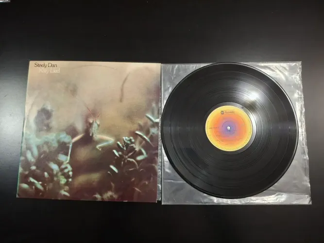 LP Steely Dan Katie Lied muito bom