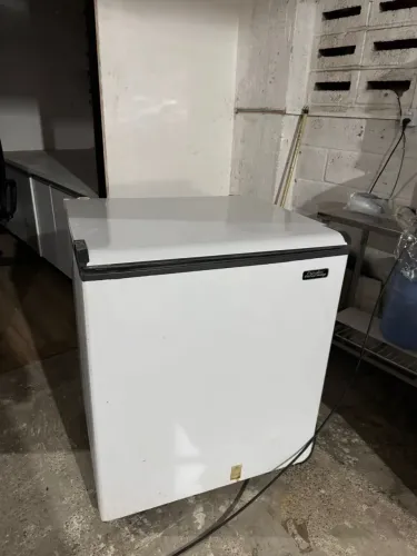 Freezer de 310 litros 