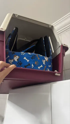 Caixa de transporte de cachorro