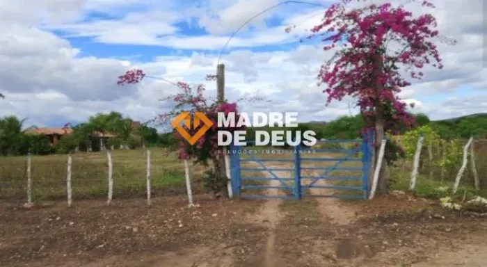 Fazenda Estrela 706 Hectares | Segurança Hídrica e Pasto de Alta Performance