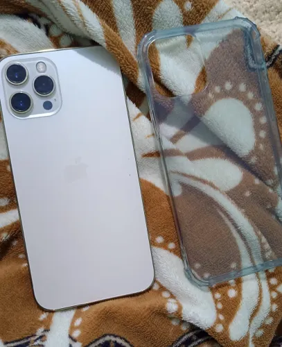iPhone 12 Pro Max 