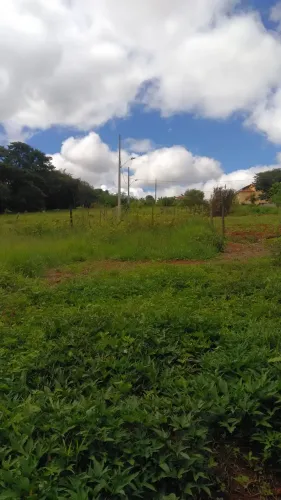 TERRENO EM COROAS