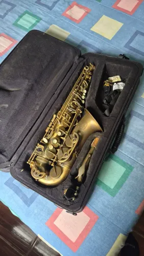 Saxofone Alto Dolphin