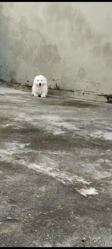 Doação responsável