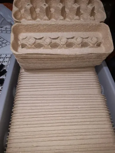 Caixa para ovos de galinha