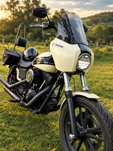 ? HARLEY-DAVIDSON DYNA SUPER GLIDE FXD 2010 ?