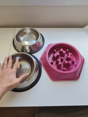 2 potes para ração + comedouro lento cachorro médio porte