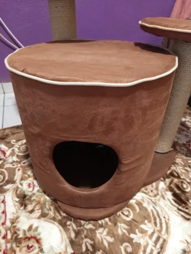 Casinha com arranhador para gatos