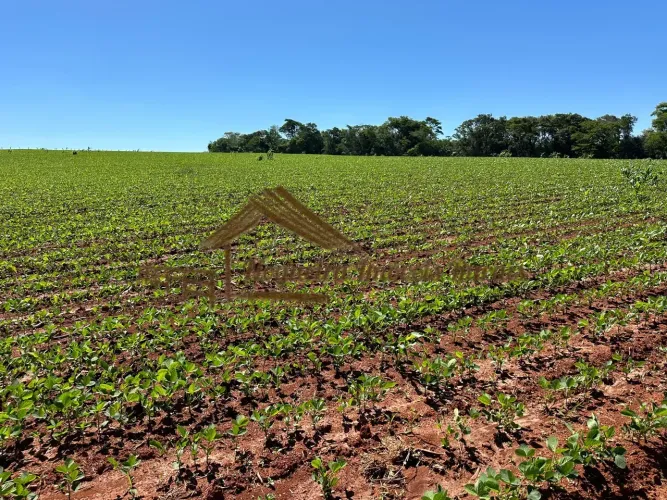Sitio a venda com 6 alqueires em Tatuí-SP
